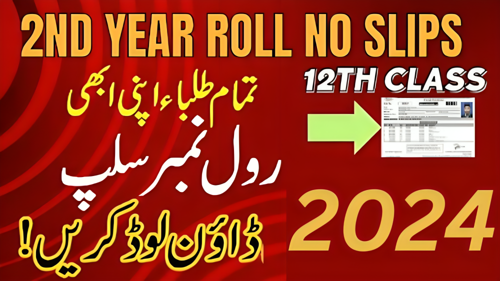 Bise Bwp Roll No Slip 2024 @Bise Bahawalpur Bisebwp.edu.pk - 12Th Class Roll Number Slip 2024