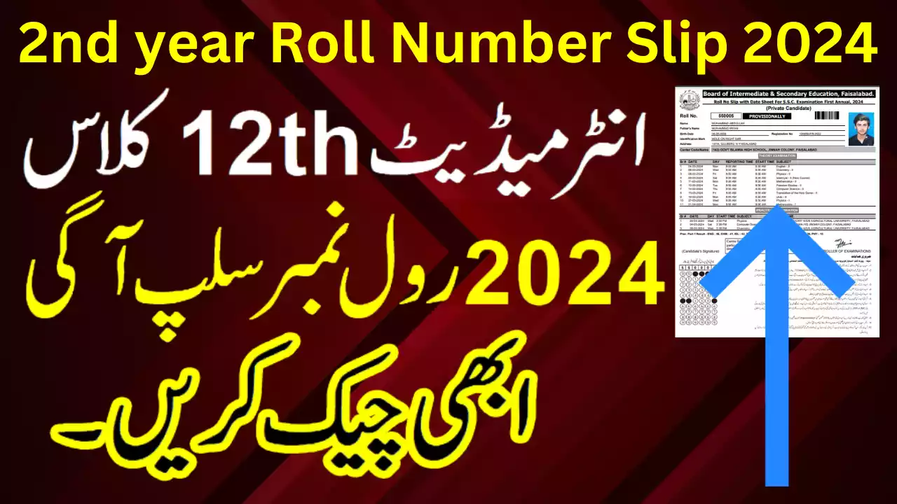 Bise Dg Khan Board Roll No Slips 2024 Bisedgkhan.edu.pk – Bise Dg Khan Annual Exam Roll No Slips 2024