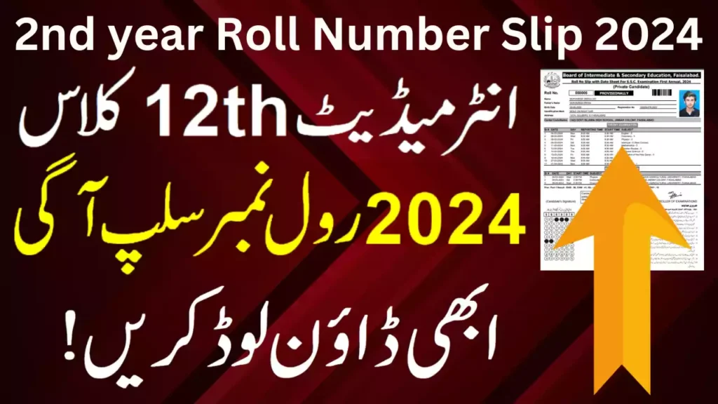 Faisalabad Board Roll Number Slip 2024 12Th Class , Bise Faisalabad Board 12Th Class Roll Number Slips 2024