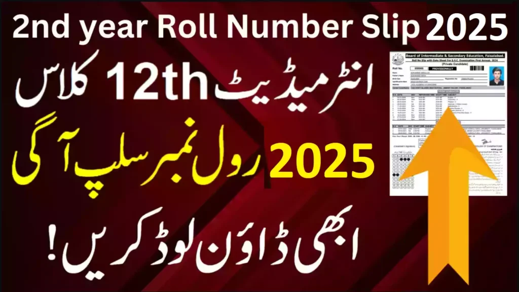 Faisalabad Board Roll Number Slip 2025 12Th Class , Bise Faisalabad Board 12Th Class Roll Number Slips 2025