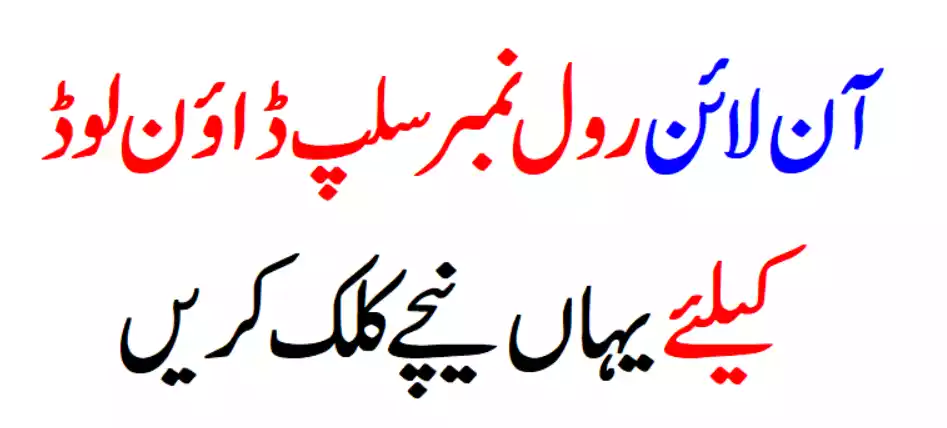 Rawalpindi Board Roll Number Slip 2023 - Rawalpindi Board 10Th Class Roll Number Slip 2023 3 Image 60