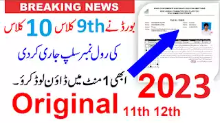 Bise Faisalabad Board Matric Roll Number Slip 2023 - Faisalabad Board Roll Number Slip 2023 - Faisalabad Board Roll Number Slip 2023 10Th Class
