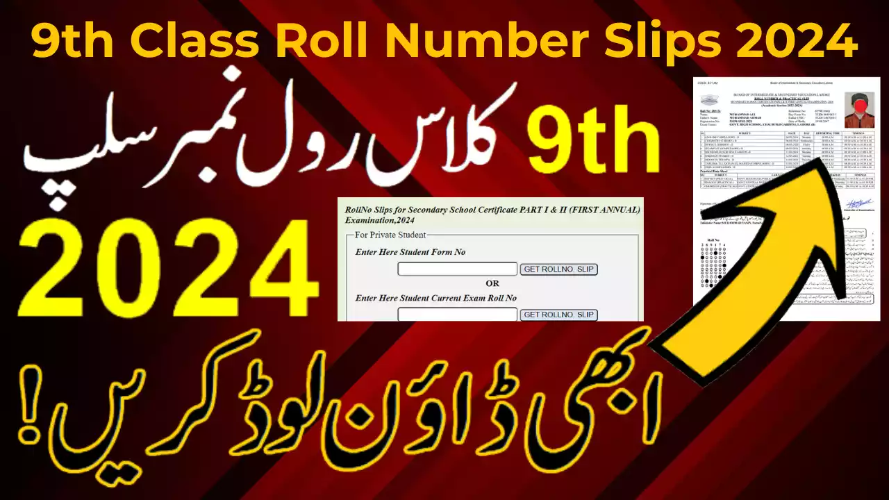 9Th Class Roll Number Slips 2024 | 9Th Class Roll Number Slip 2024 Punjab Boards