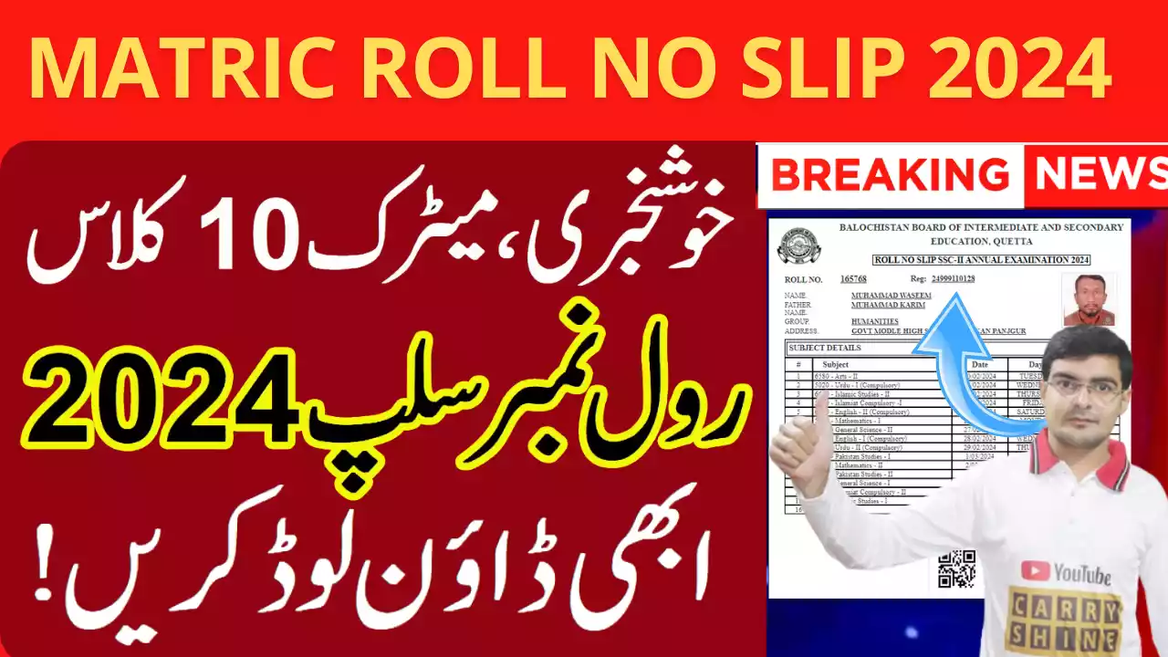 Matric Ssc 10Th Class Roll No Slip 2024 Bise Faisalabad Board