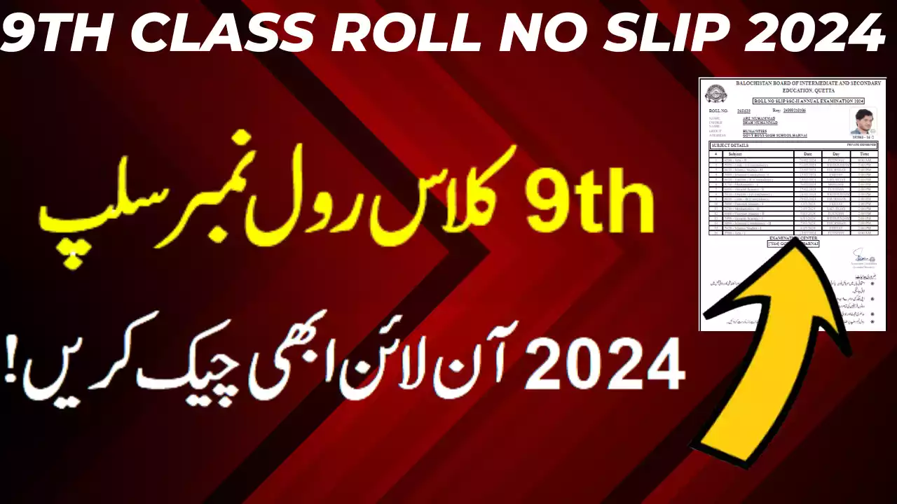 Roll Number Slip for 9th Class 2024 Bannu Board