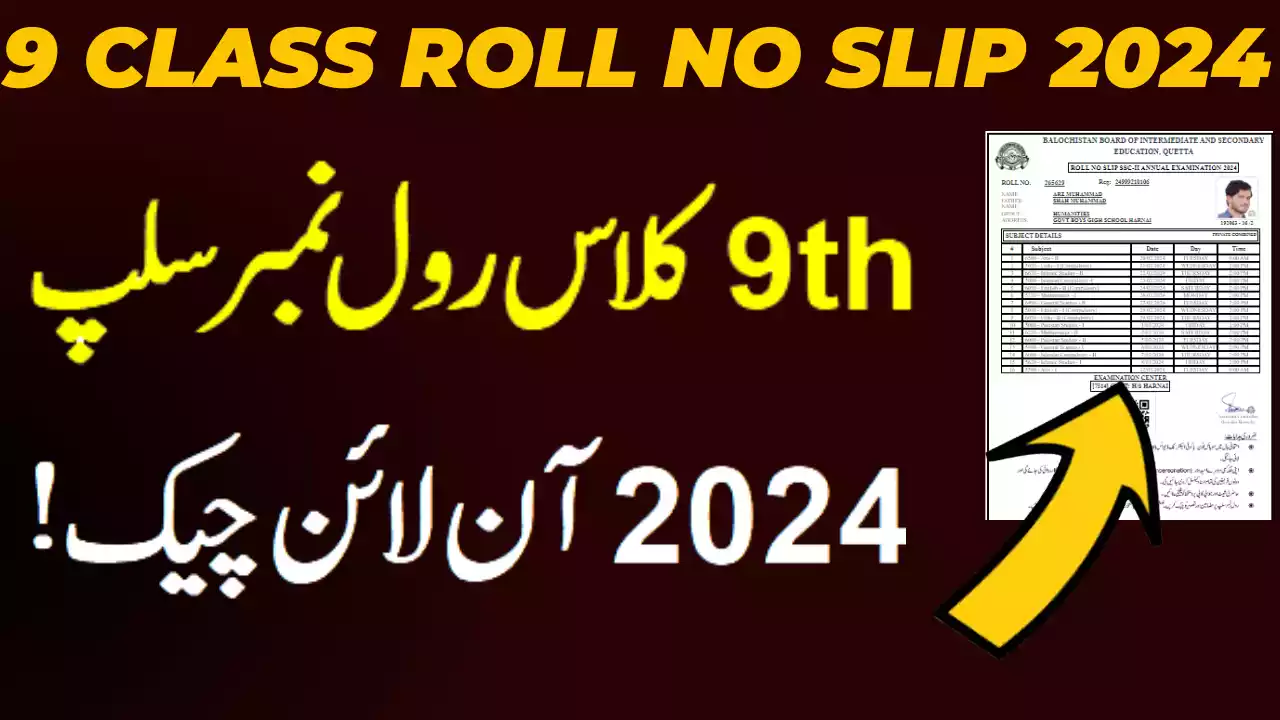 Roll Number Slip for 9th Class 2024 BISE Dera Ismail Khan Board