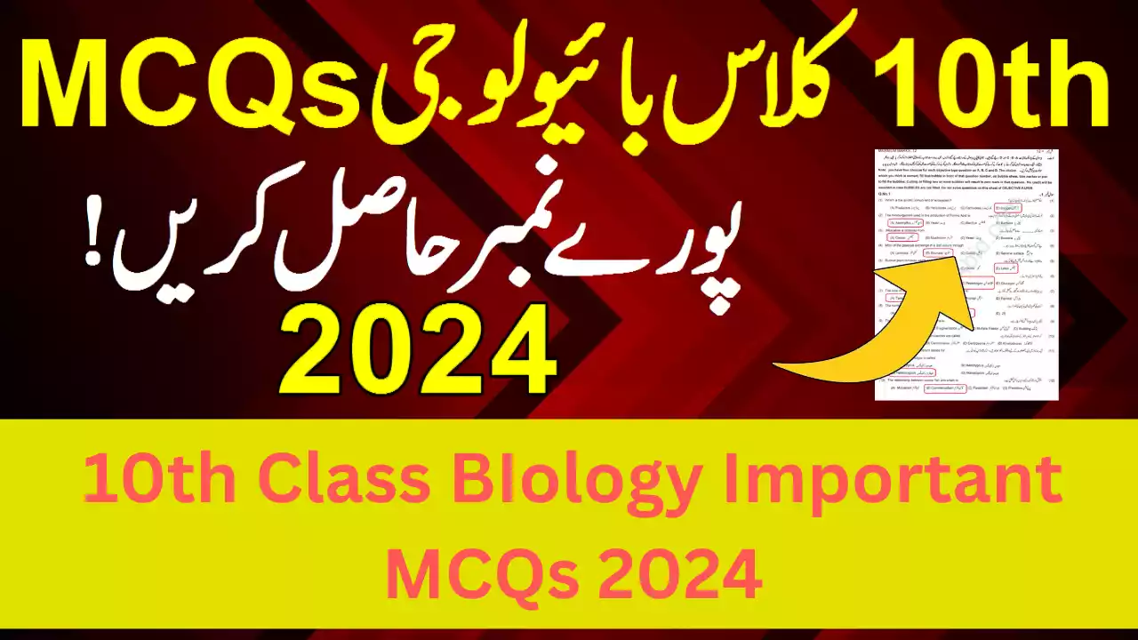 MCQs PDF - WaqasAbid.Com