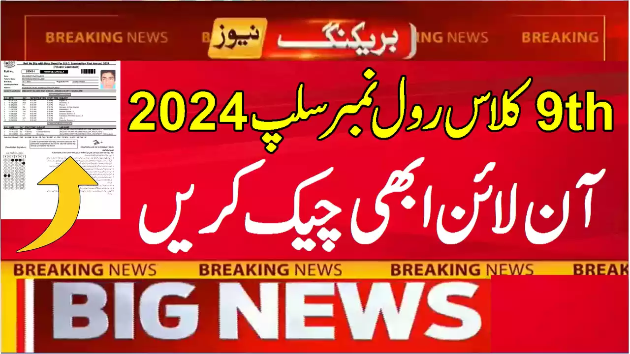 9Th Class Roll Number Slip 2024 For Bise Larkana Board