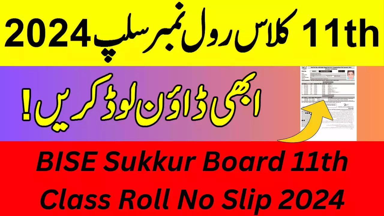 Bise Sukkur Board 1St Year Roll Number Slip 2024, 11Th Class Roll No Slip 2024 Bise Sukkur Board