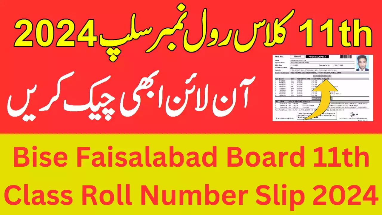 Bise Faisalabad Board 11th Class Roll Number Slip 2024