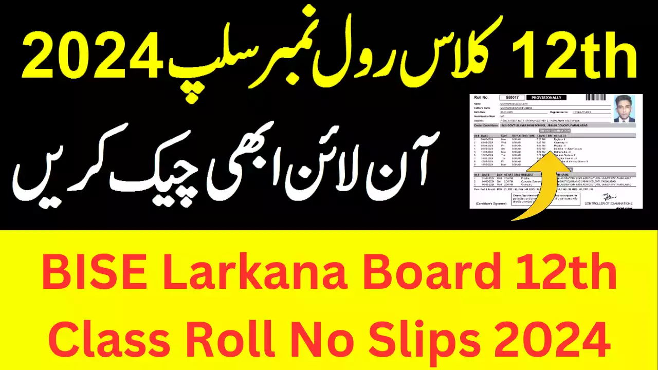 12Th Class Roll Number Slips 2024 Bise Larkana Board