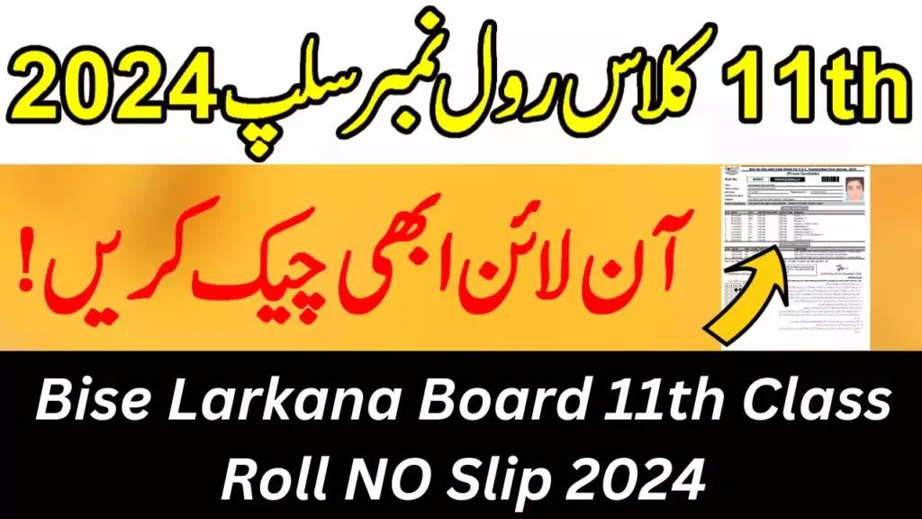 Bise Larkana Board 11Th Class Roll Number Slip 2024, 1St Year Roll Number Slip 2024 Bise Larkana Board