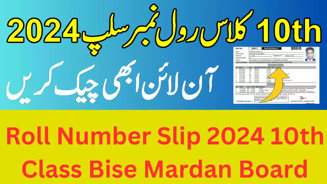 Mardan Board Result 2024 By Roll Number Fayre Jenilee