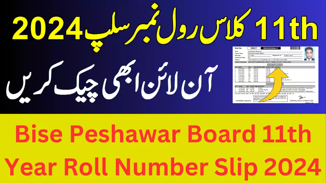 Bise Peshawar Board 1St Year Roll Number Slip 2024