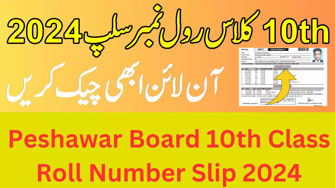 Peshawar Board 10th Class Roll Number Slip 2024