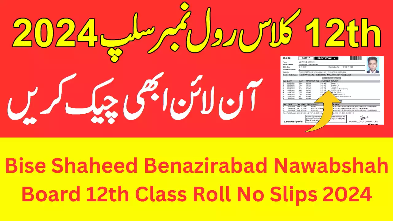 Bise Shaheed Benazirabad Nawabshah Board 12Th Class Roll Number Slips 2024, 2Nd Year Roll No Slip 2024 Bise Shaheed Benazirabad Nawabshah Board