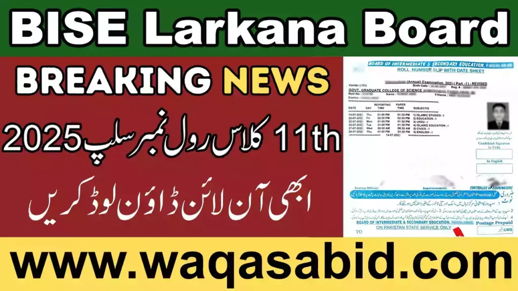 11Th Class Roll No Slip 2025 Bise Larkana Board 8 11Th Class Roll No Slip 2025 Bise Larkana Board