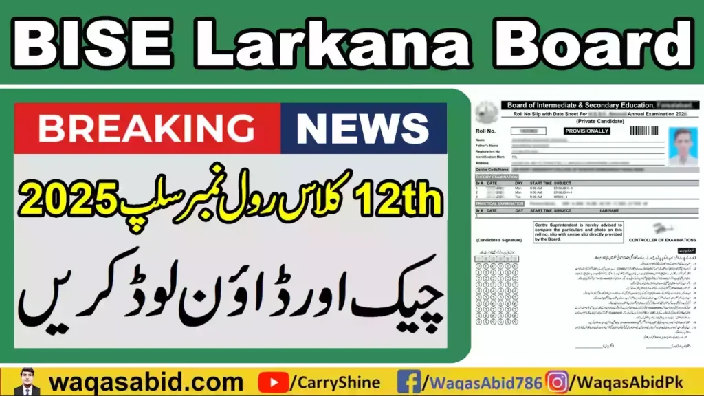 Bise Larkana Board 12Th Class Roll Number Slip 2025 9 Bise Larkana Board 12Th Class Roll Number Slip 2025