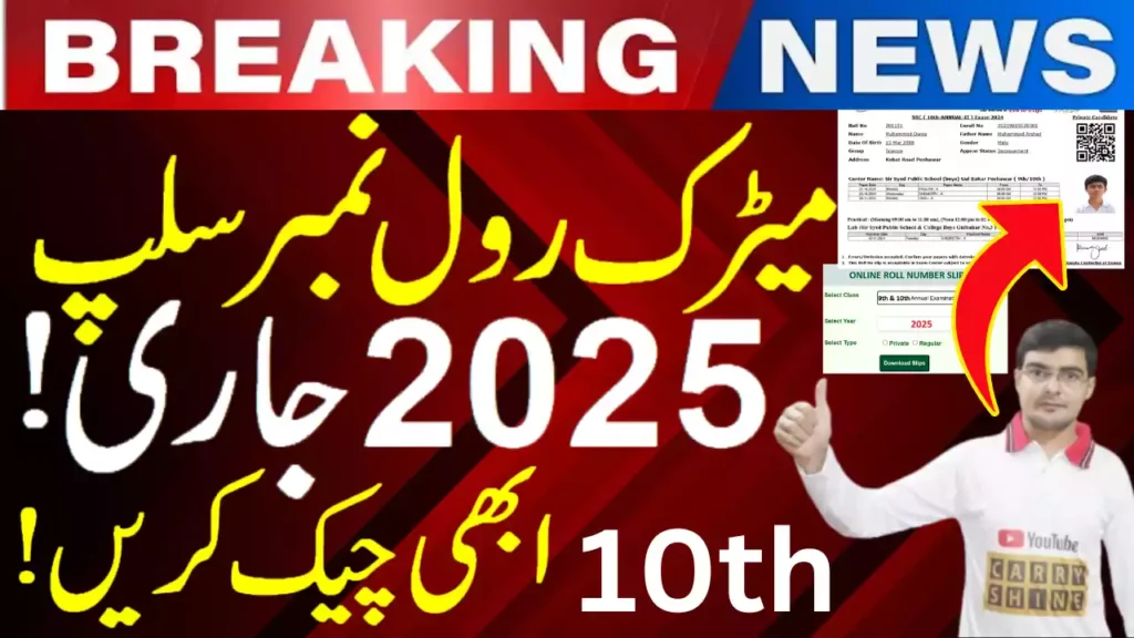 10Th Class 2025 Roll Number Slip Punjab Board, Matric Roll Number Slip 2025
